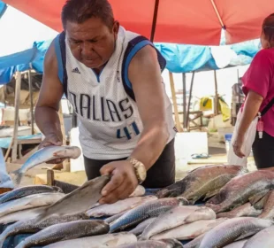 Contêineres de pescado parados em porto brasileiro após tarifa imposta pelos Estados Unidos